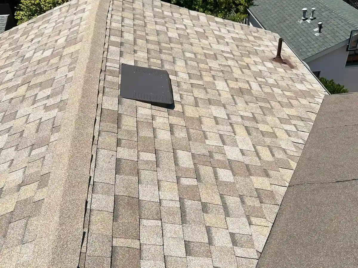 Close-up of asphalt shingle texture and a roof vent, illustrating the attic ventilation components that affect shingle lifespan in coastal climates.