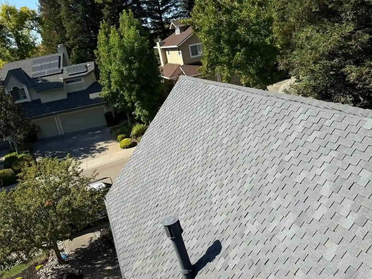 Aerial view of a shingle roof surrounded by tree canopy, showing the kind of shade exposure that contributes to algae growth in marine-layer climates.