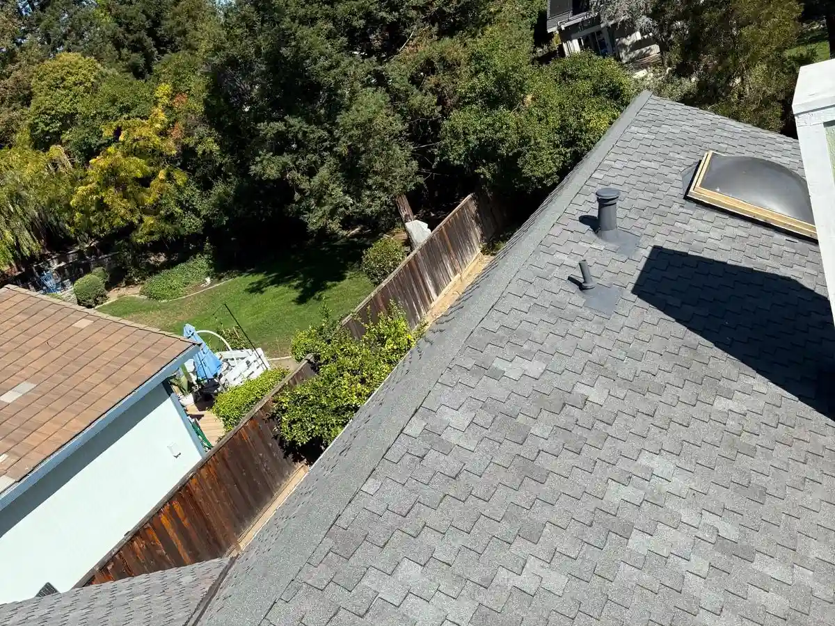Aerial view of a gray shingle roof with a skylight and vents, surrounded by trees in a Marin-style residential backyard.
