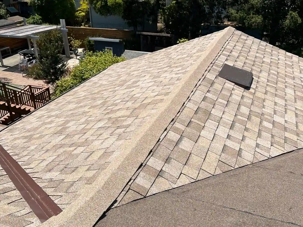 Tan dimensional shingle roof with vent in a Marin County backyard, showing flashing and vent detail