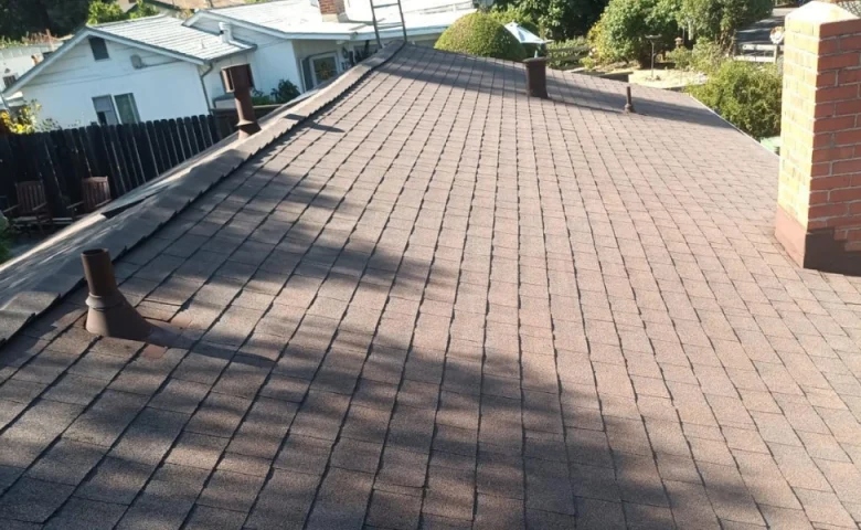 A brown shingled roof with multiple vent pipes is seen from an elevated angle. Houses and trees are visible in the background.