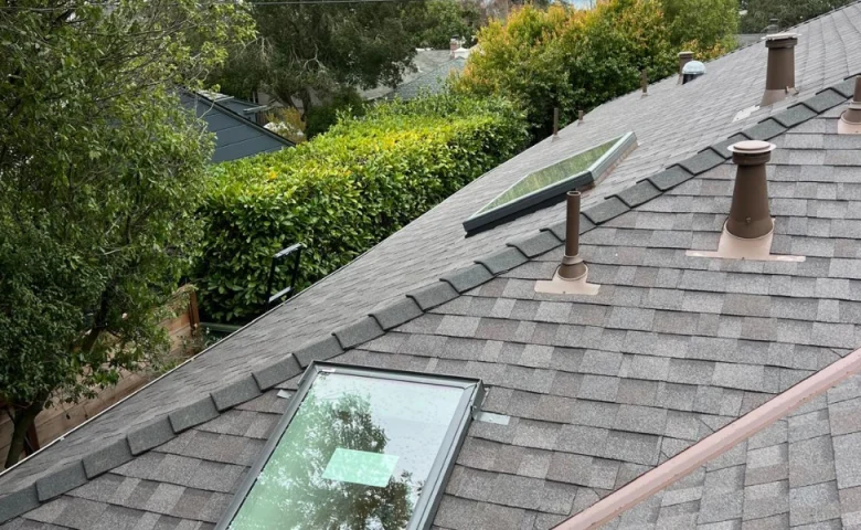 A gray shingled roof with skylights and vents sits serenely amidst lush greenery and towering trees.